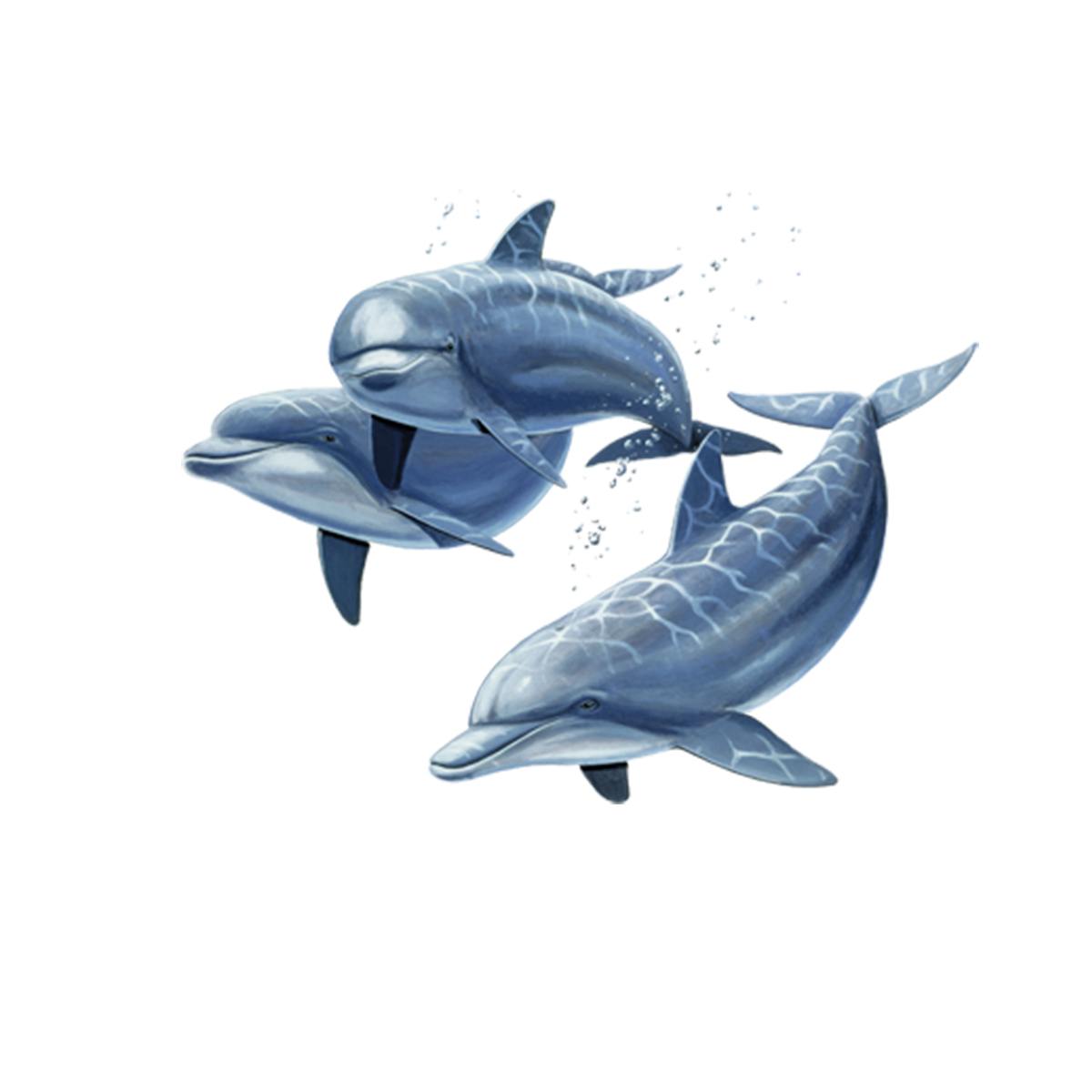 Морские дельфины картинки