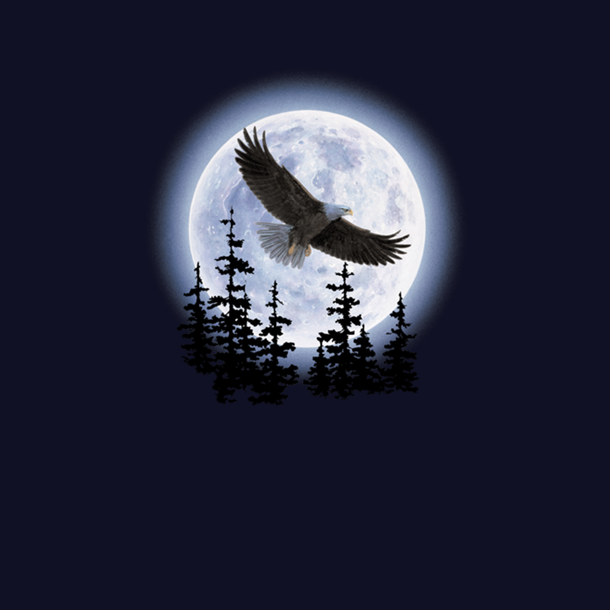 Volador Águila Noche Oscura Mujer Camiseta XS-3XL Nuevo | eBay